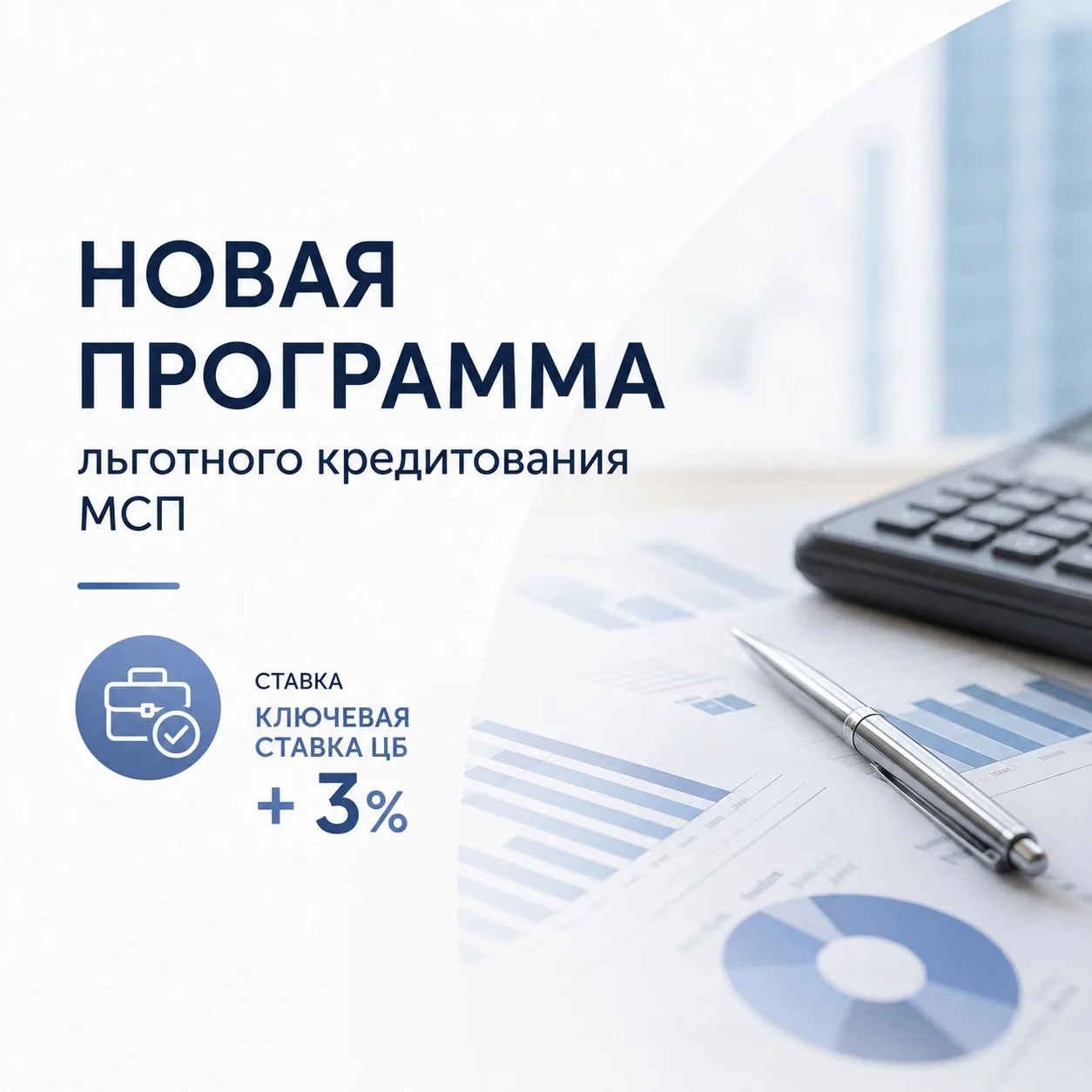 Реализация в Мордовии национальных проектов, предложенных Президентом России.  Запущена новая программа льготного кредитования МСП